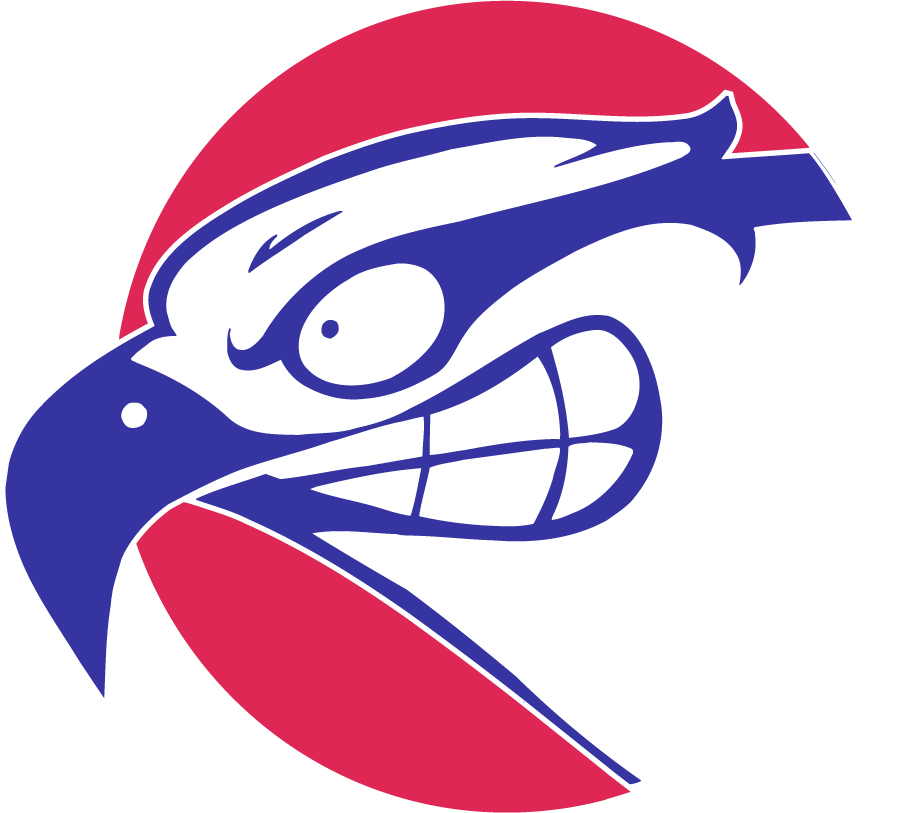 UMass Lowell River Hawks 1997-2006 Secondary Logo v2 diy DTF decal sticker